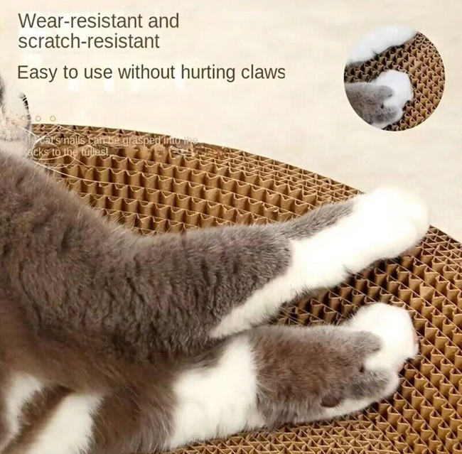 Rascador Circular Premium para Gatos 45 cm