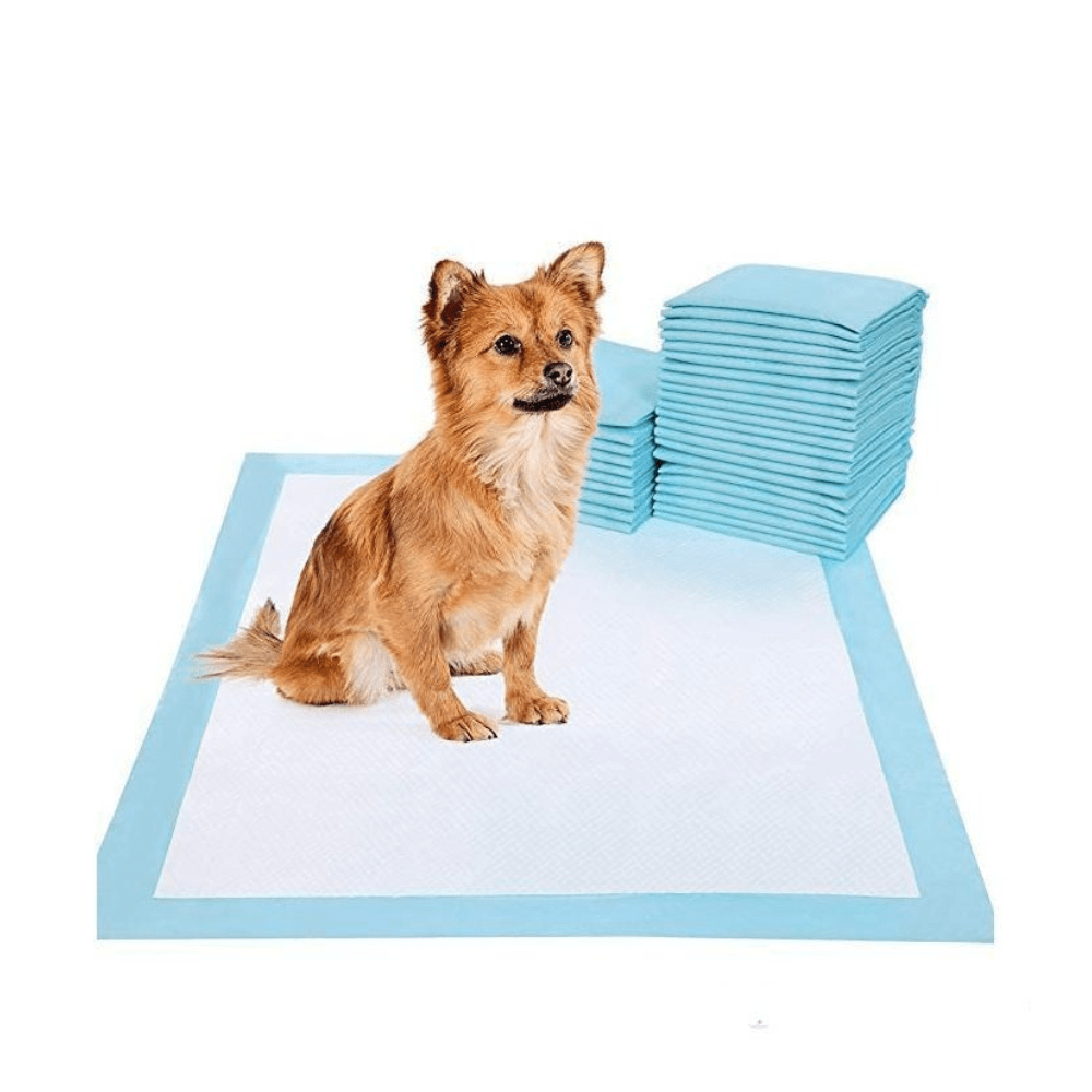 Pañal de piso para Perro