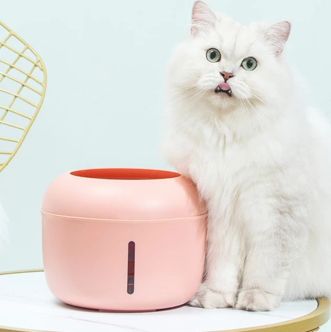 Fuente de Agua para Gatos Pakeway