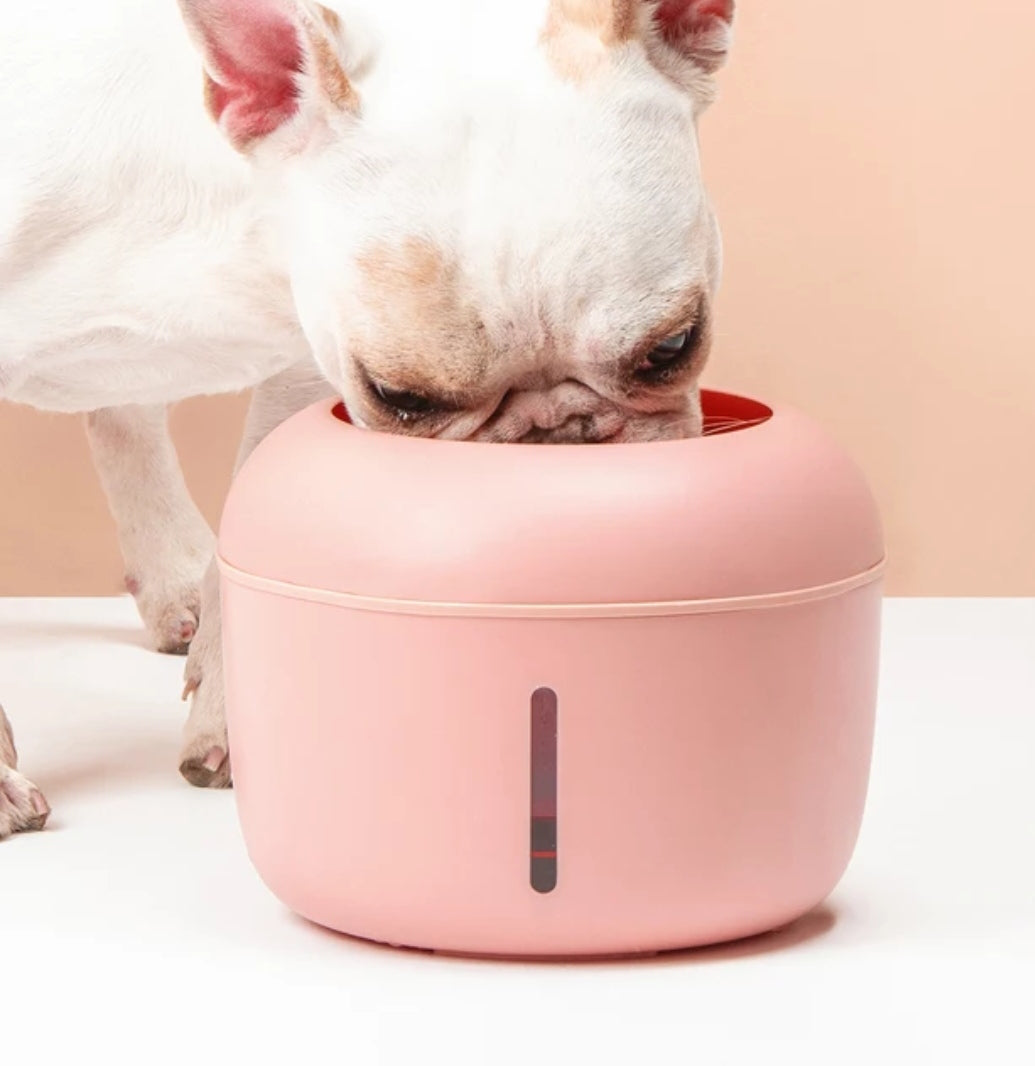 Fuente de Agua para Gatos Pakeway