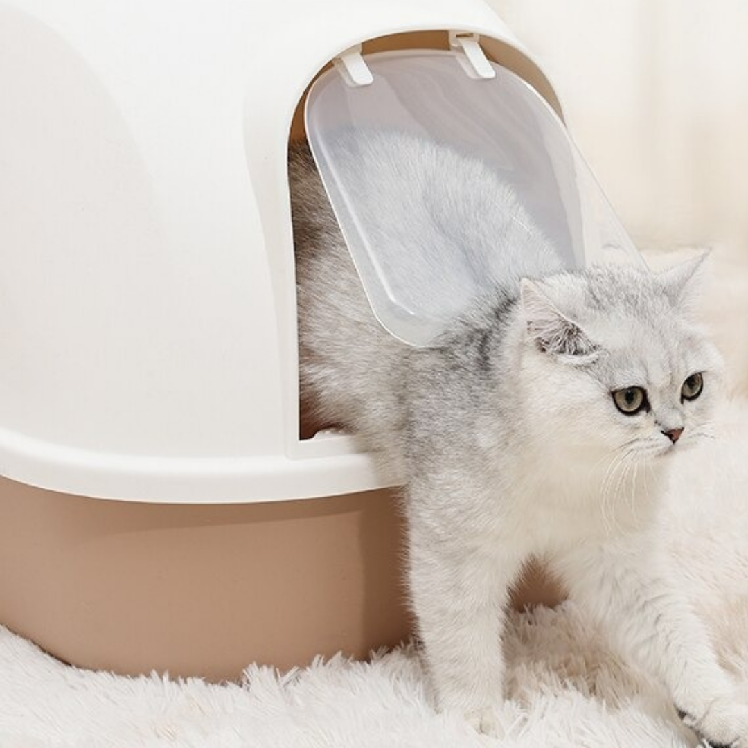 Arenero para Gato con Bandeja
