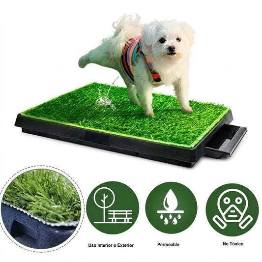 Baño Ecológico para Perros.