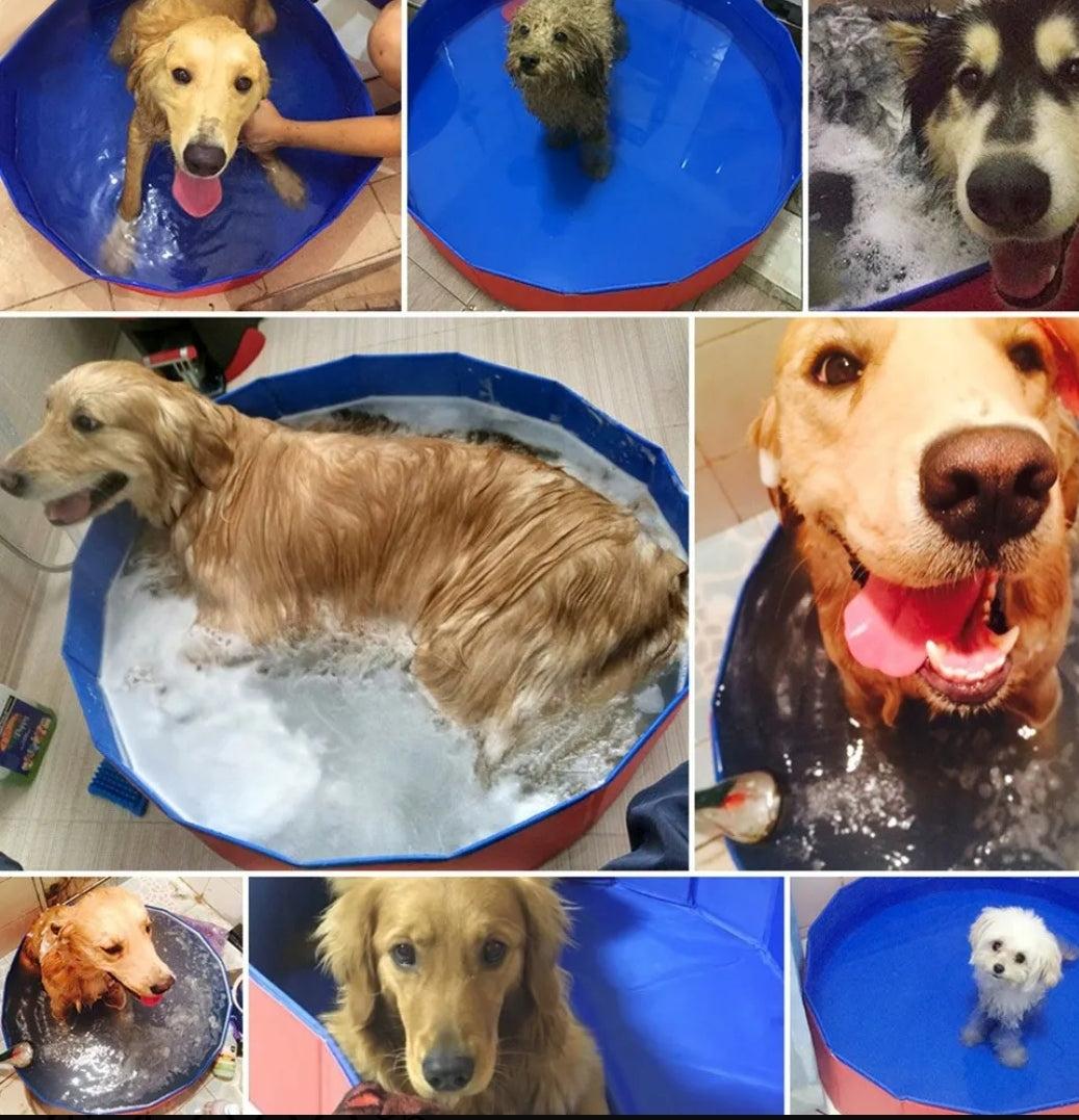 Piscina plegable para mascotas