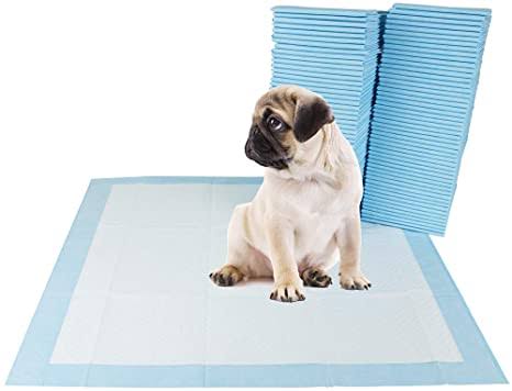 Pañal de piso para Perro