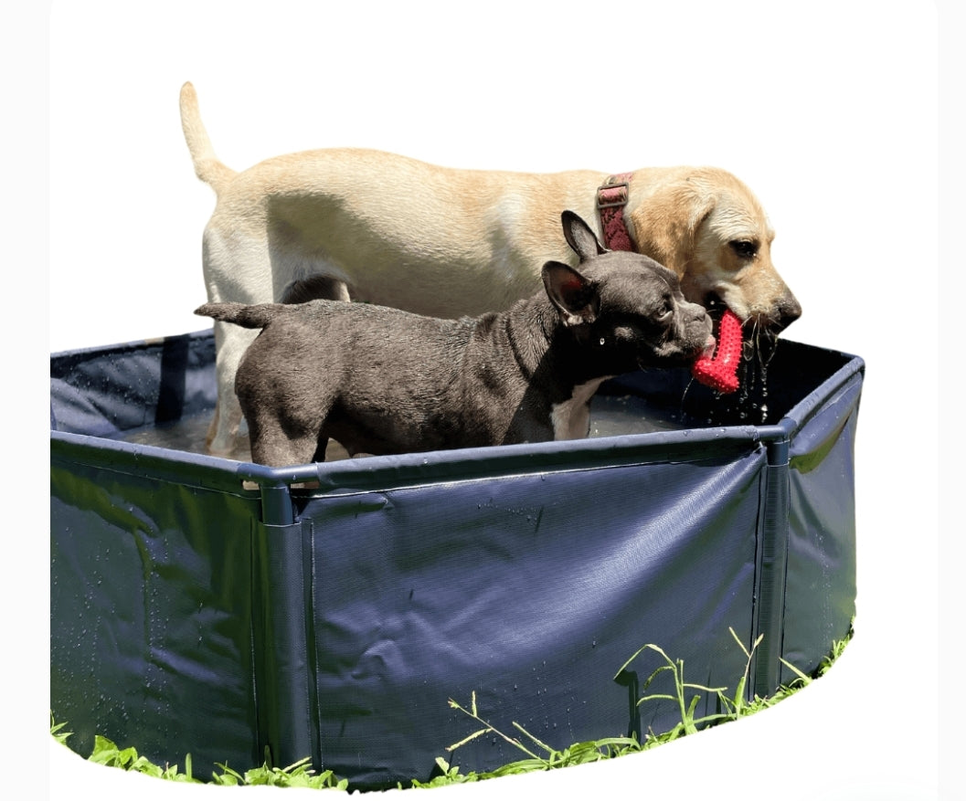 Piscina  de PVC Extra resistente para Perros