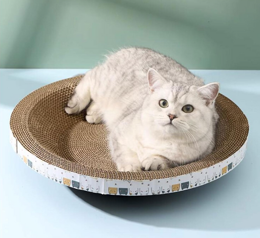 Rascador Circular Premium para Gatos 45 cm