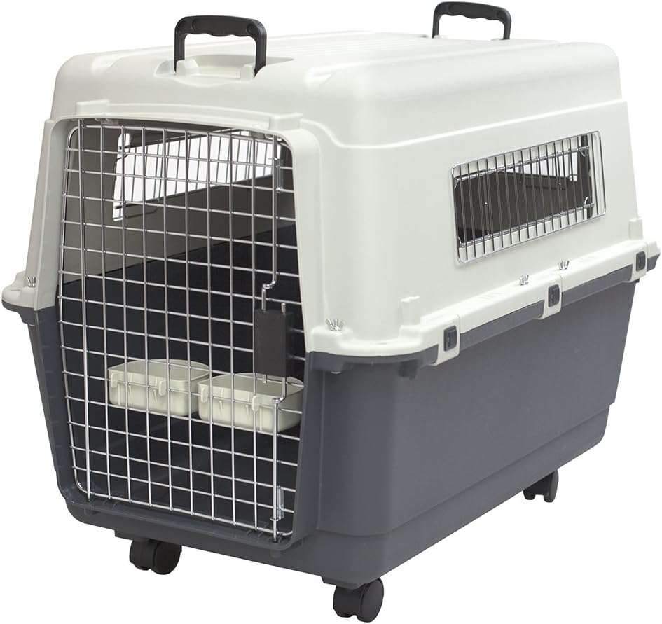 Kennel para perros