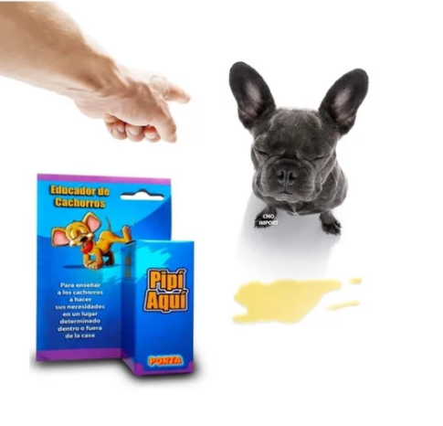 Educador de Cachorros  Pipi Aquí