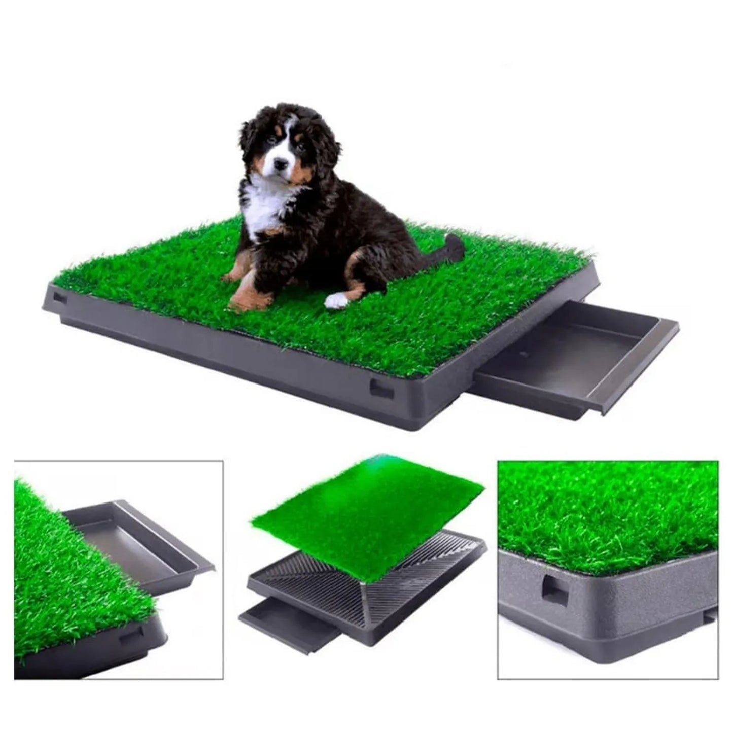 Baño Ecológico para Perros.